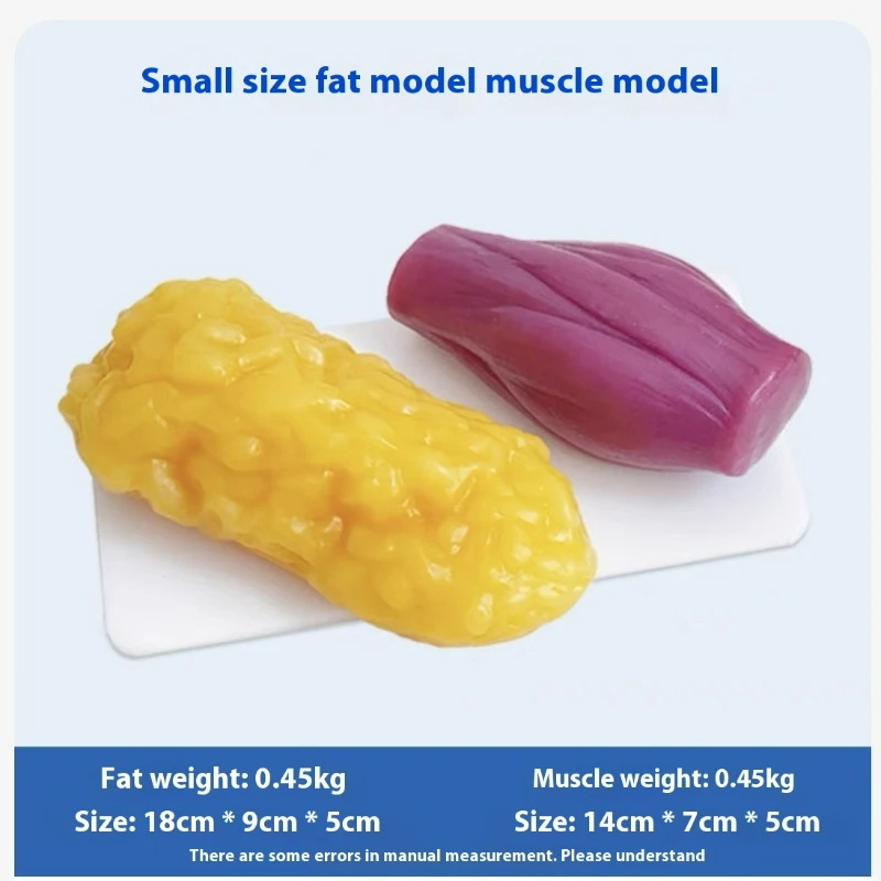 Human Muscle and Fat Replicas  - Nutrition Fitness recension och pris